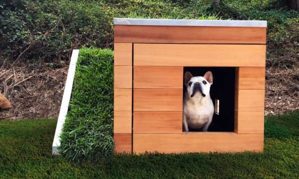 La perrera de los sueños: techo verde y un ventilador solar para mantener fresco al perro