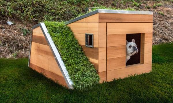La perrera de los sueños: techo verde y un ventilador solar para mantener fresco al perro