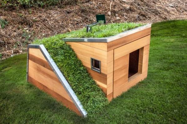 O canil dos sonhos: telhado verde e ventilador movido a energia solar para refrescar o cachorro