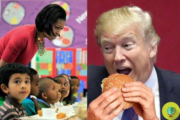 Através dos menus saudáveis ​​introduzidos por Michelle Obama nas cantinas: Trump quer trazer hambúrgueres e batatas fritas de volta à escola