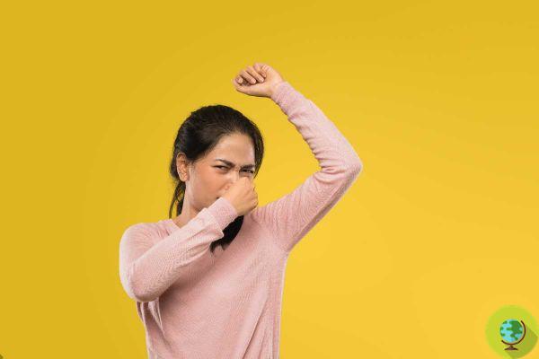 Une étude révèle pourquoi nous devenons de moins en moins sensibles aux odeurs corporelles et à la puanteur de la sueur