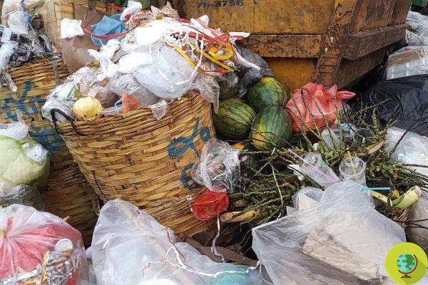 Il est interdit par la loi de jeter les restes de nourriture dans les poubelles. La proposition de Hambourg