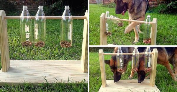 Cómo construir un juguete para perros con botellas de plástico (FOTO y VIDEO)