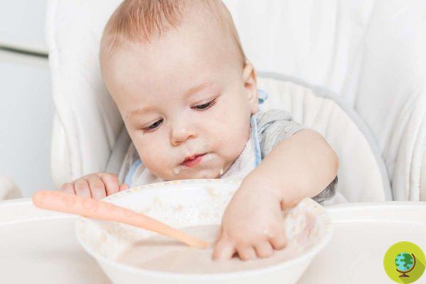 Arsénico en la crema de arroz para bebés: marca popular en EE. UU.