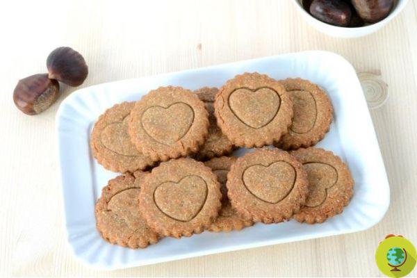 Chestnut biscuits: the fast recipe without butter