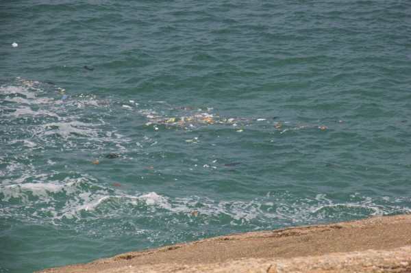 Las terribles imágenes de desechos en el mar que podrían comprometer los Juegos Olímpicos de Río
