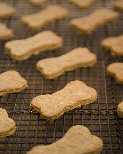 Galletas caseras para perros: 10 recetas
