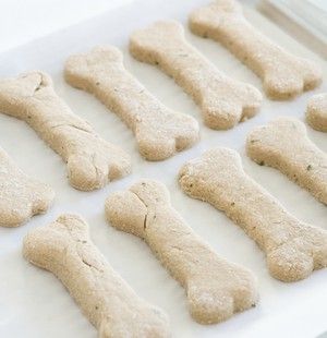 Galletas caseras para perros: 10 recetas