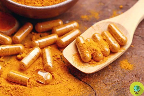 Turmeric-based supplements: the cases of hepatitis ascertained by the ISS are 10. MARCHE and LOTTI
