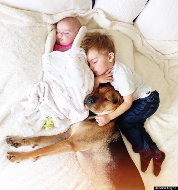 Perros y niños: las maravillosas fotos de Jessica Shyba y sus 3 