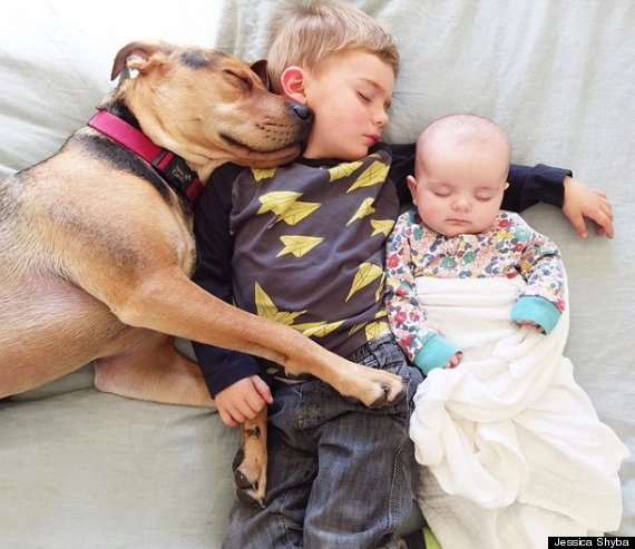 Dogs and children: the wonderful photos of Jessica Shyba and her 3 