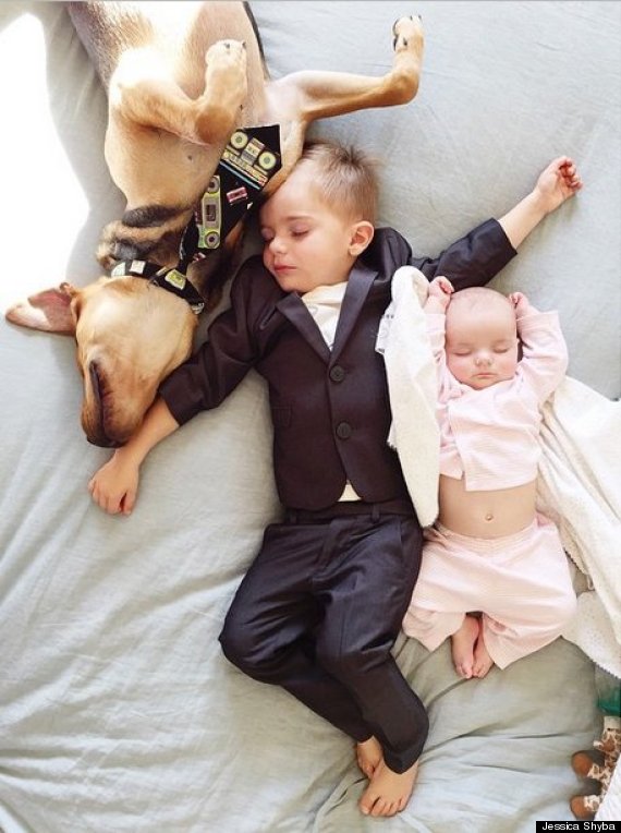 Cachorros e crianças: as fotos maravilhosas de Jessica Shyba e seus 3 