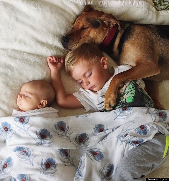 Perros y niños: las maravillosas fotos de Jessica Shyba y sus 3 