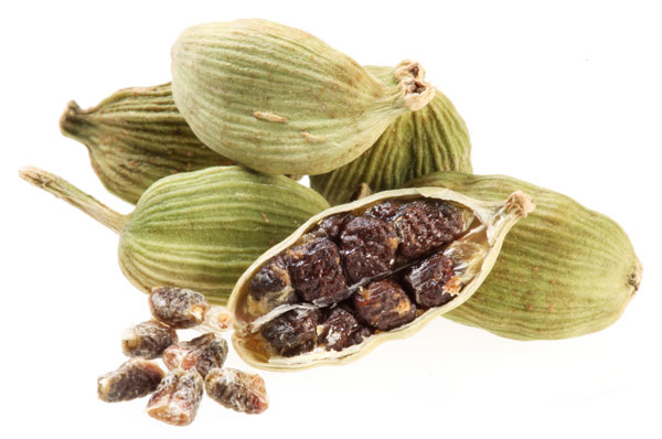 Cardamom: properties, uses and how much to take