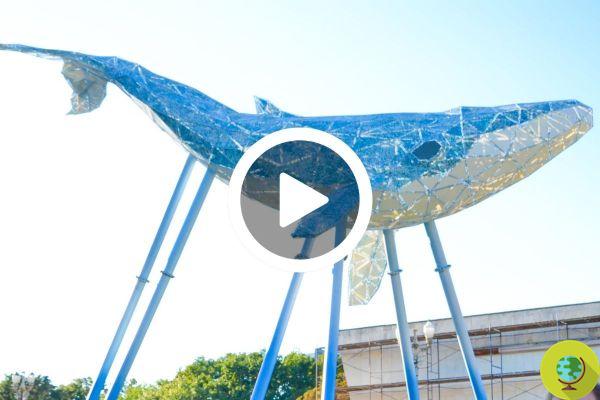 Cette baleine qui a nagé au-dessus de Kiev est fabriquée à partir de déchets plastiques récupérés