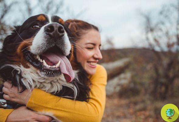 Tener un perro es bueno para la salud: reduce el riesgo de muerte, combate el estrés y aumenta la actividad física