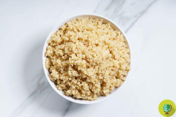 Como cozinhar quinoa: métodos, tempos de cozimento, receitas e erros para não cometer