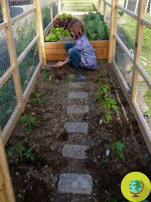 A menina de 9 anos que constrói abrigos e cultiva uma horta para moradores de rua (FOTO e VÍDEO)