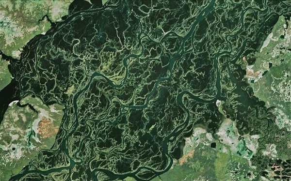 La impresionante belleza de los ríos entrelazados (FOTO)