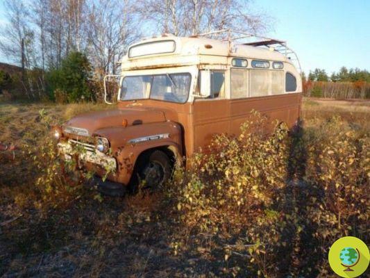 Maine Bus : le bus vintage transformé en mobil-home tout confort