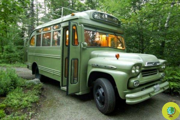 Maine Bus: o ônibus vintage transformado em uma confortável casa móvel