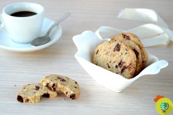 Cookies without butter: 10 delicious and quick recipes