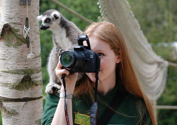 20 animais que gostariam de se tornar fotógrafos (FOTOS)