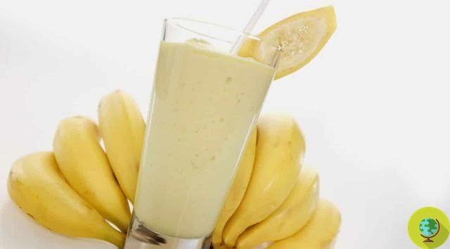 Banana plant milk: the recipe to prepare it at home