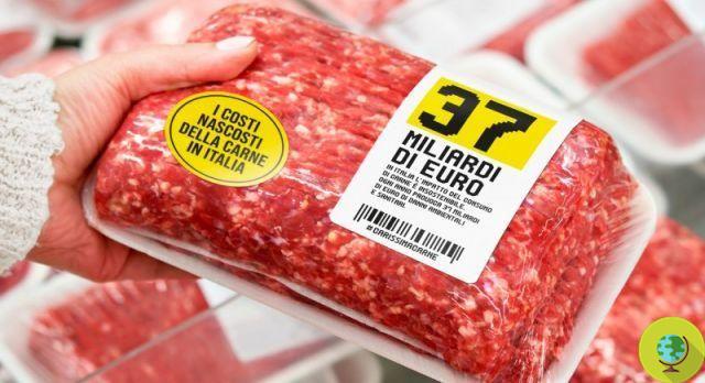 Os verdadeiros custos da produção de carne. De LAV 10 maneiras de não consumir o mundo