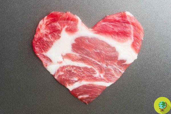 Este novo estudo explica como a carne vermelha pode danificar o coração e os rins