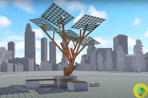 Árboles solares: qué son y por qué los árboles solares podrían sustituir a los paneles fotovoltaicos