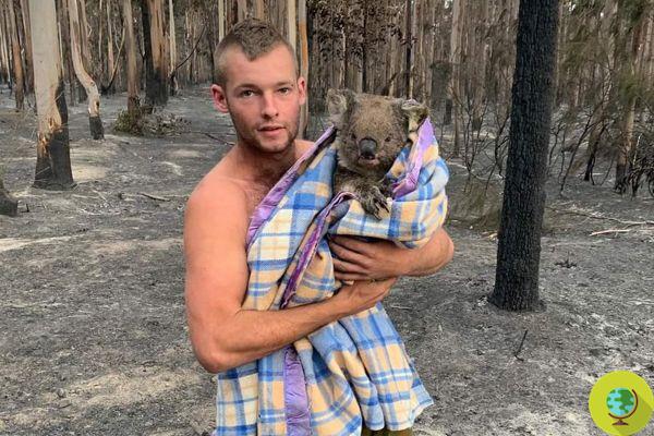 22-year-old hunter challenges the flames to save koalas from Australian fires