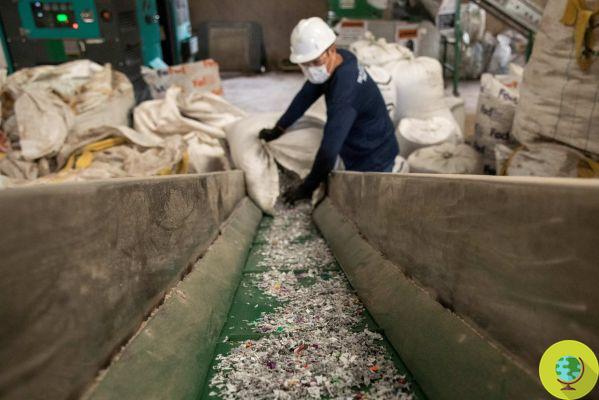 En el país que contamina más que todos los océanos, la start-up que transforma el plástico del mar en material de construcción