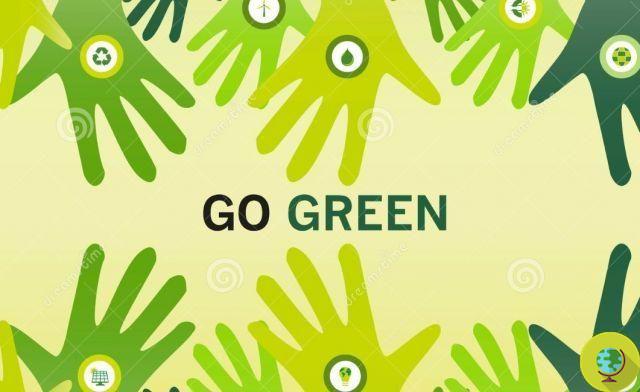 Being or appearing green: the 5 mistakes that companies should avoid