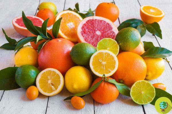 ¿Qué fruta cítrica tiene más vitamina C de todas? No, no es la naranja.