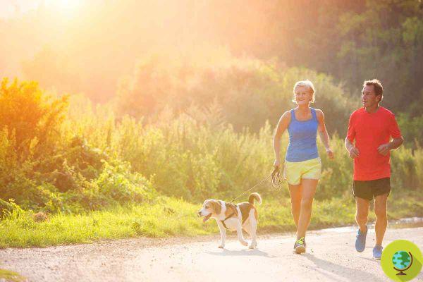 The faster you walk the slower you get older, now it's official!