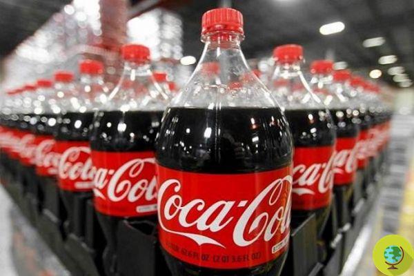 Coca Cola admet produire jusqu'à 3 millions de tonnes d'emballages en plastique chaque année