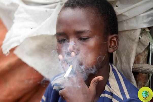 The secret of the tobacco lobby: cigarettes sold in Africa are more toxic