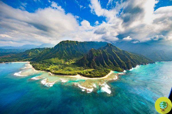 Hawaii offers free flights to those who want to relocate doing smart working