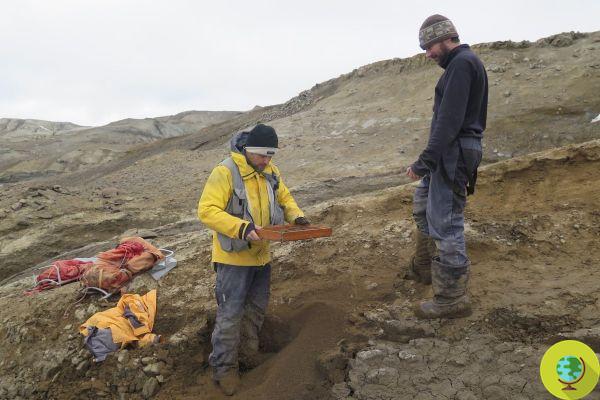 Monstre du Loch Ness : des chasseurs de fossiles découvrent le squelette de la créature légendaire