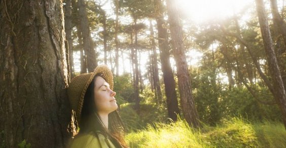 Living in contact with nature: 5 ways to be healthier and happier