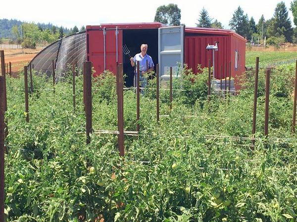 Farm of a box: how to produce food for 150 people with solar energy (VIDEO)