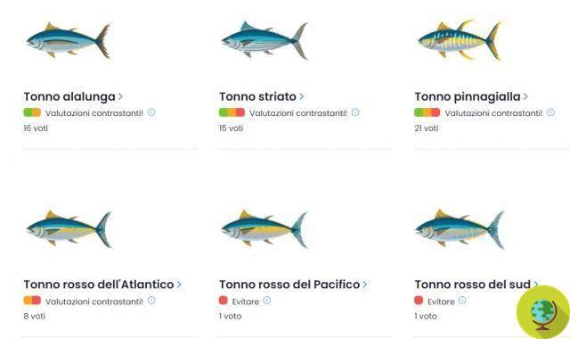 Este guia ajuda você a escolher o peixe mais “sustentável” com base na espécie, localização e tipo de pesca