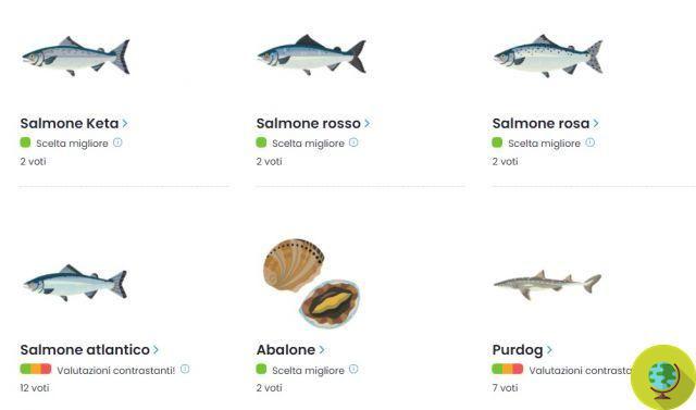 Este guia ajuda você a escolher o peixe mais “sustentável” com base na espécie, localização e tipo de pesca