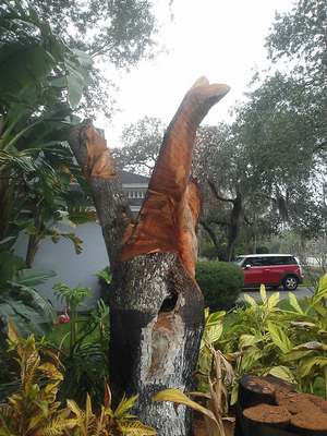 Gil Tompson, o homem que salvou uma árvore transformando-a em obra de arte