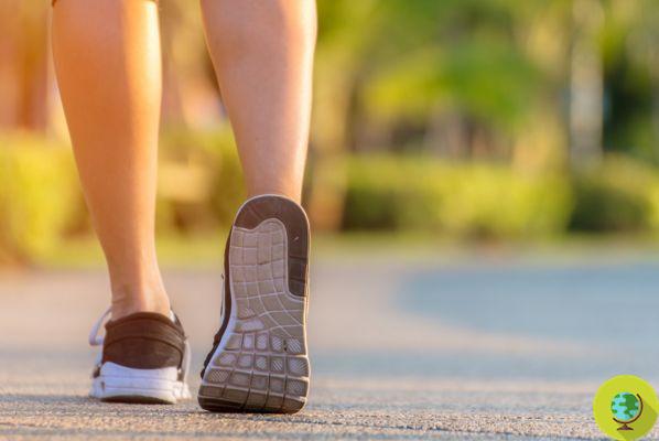 Walking at a brisk pace: discovered a new beneficial effect for the arteries