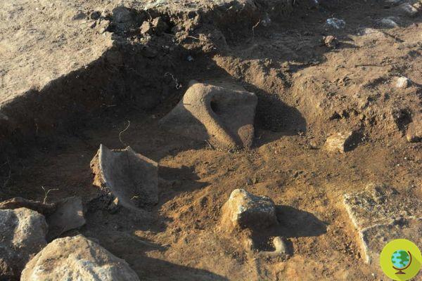In the site of Monte Prama the remains of a huge ancient city: Sardinian Pompeii discovered