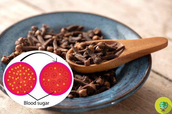 Essas pequenas unhas que você definitivamente tem na cozinha são incrivelmente eficazes para reduzir o açúcar no sangue e o colesterol