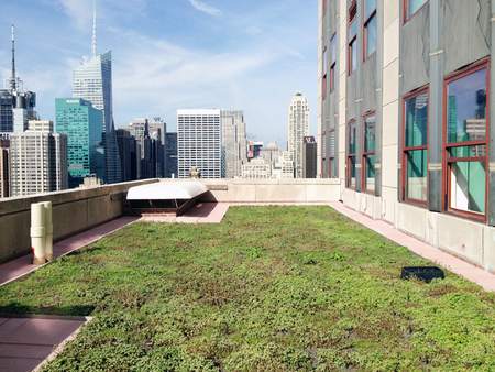 The green roof on the Empire State Building