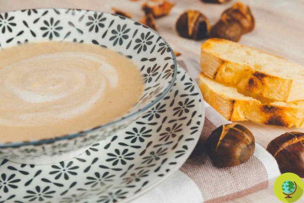 Harina de castaña: de la pasta a las tortitas, 10 formas sorprendentes de redescubrirla en tus recetas